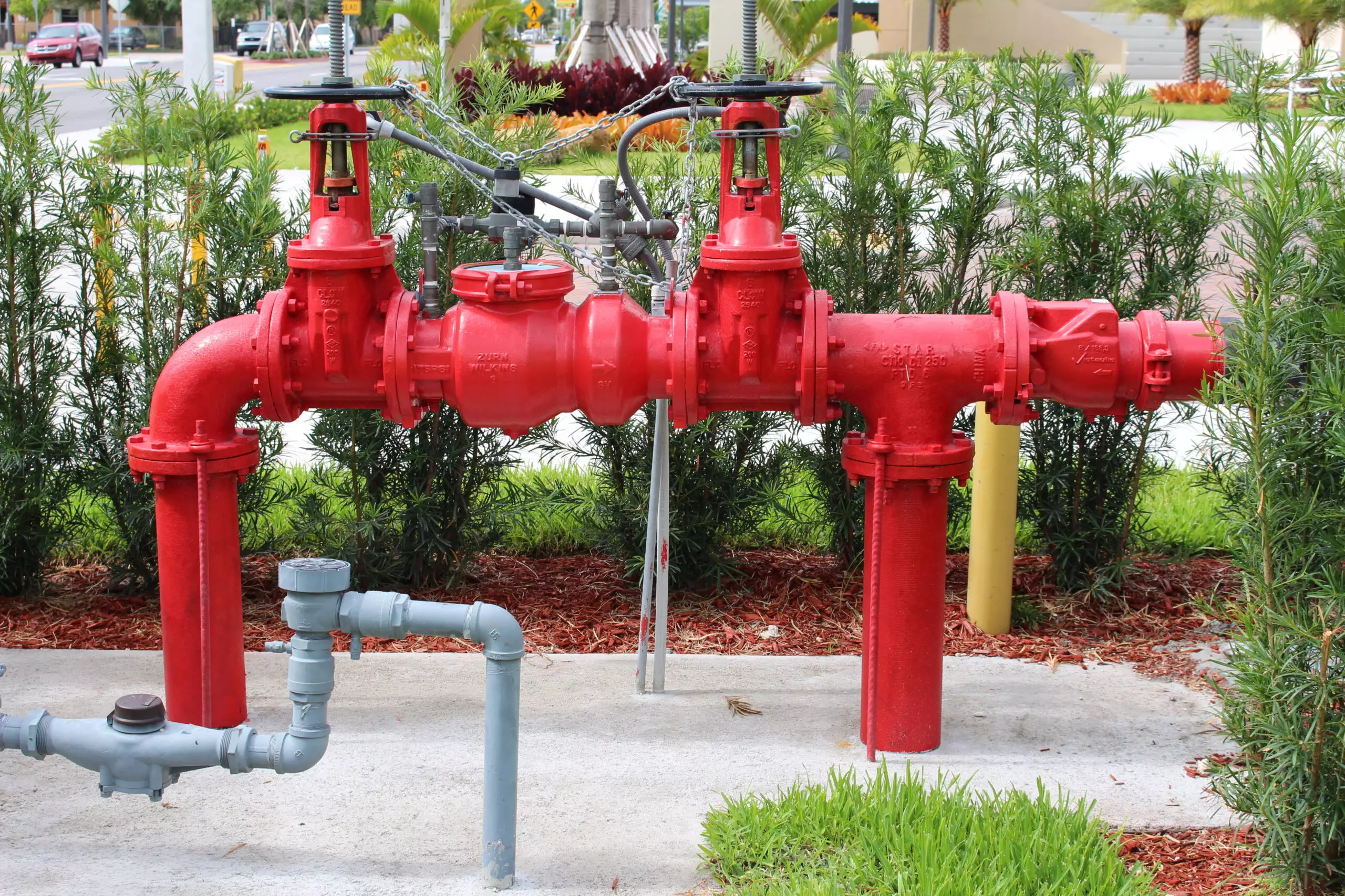 a close up of a fire backflow
