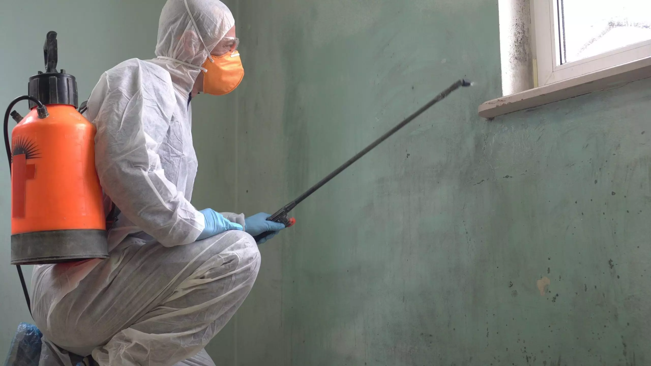 Mildew Remediation Specialist. Mold Remediation Techniques and Equipment. Mold control antimicrobial treatment can be dispensed by spray.